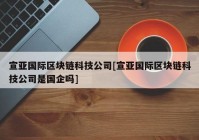 宣亚国际区块链科技公司[宣亚国际区块链科技公司是国企吗]